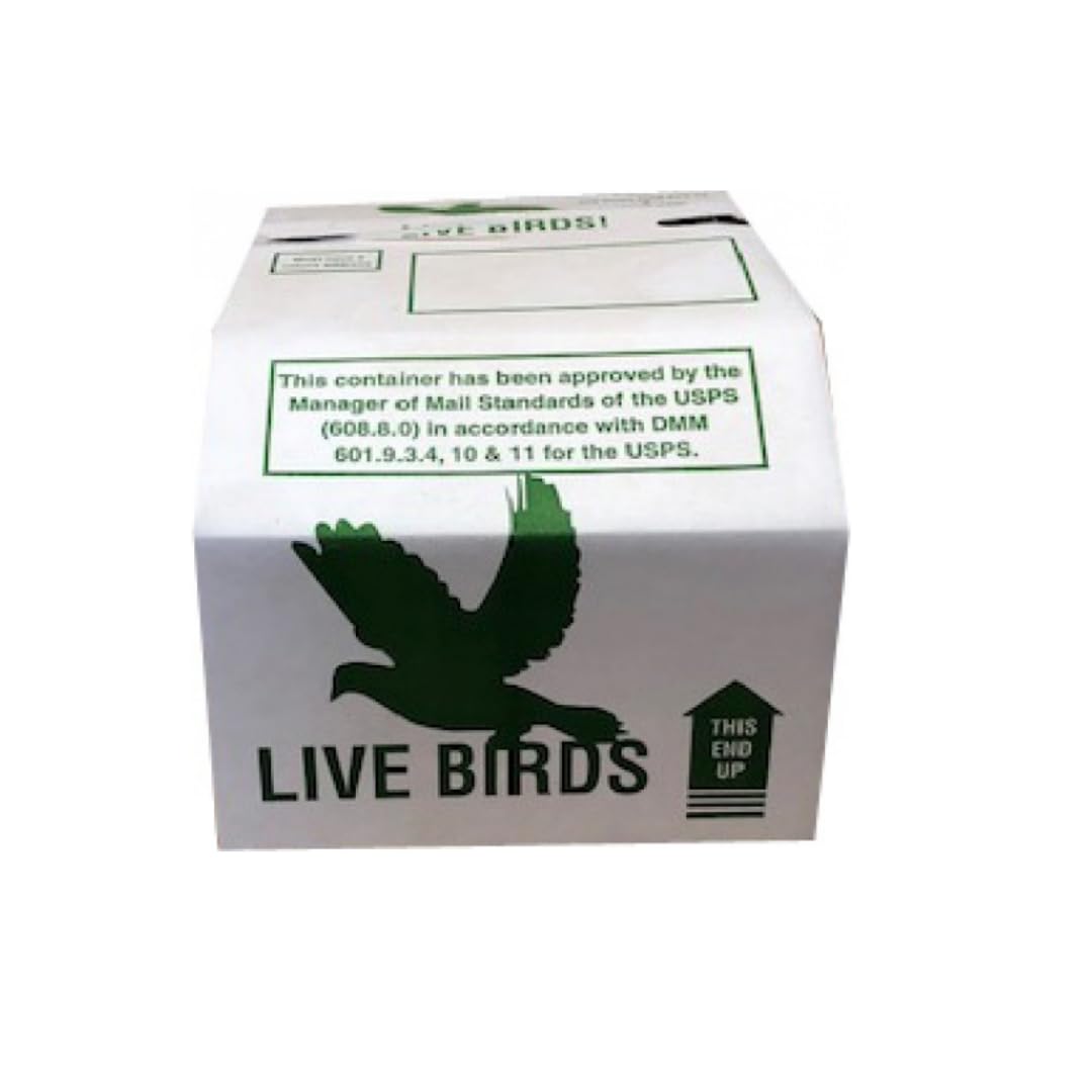 Live Chick Shipping Box (10 pack) - Live Chick Carrier, USPS Approved Chick Shipping Box FREE SHIPPING!