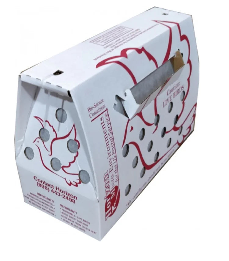 Rooster or Hen Live Shipping Box USPS Approved Free Shipping!!