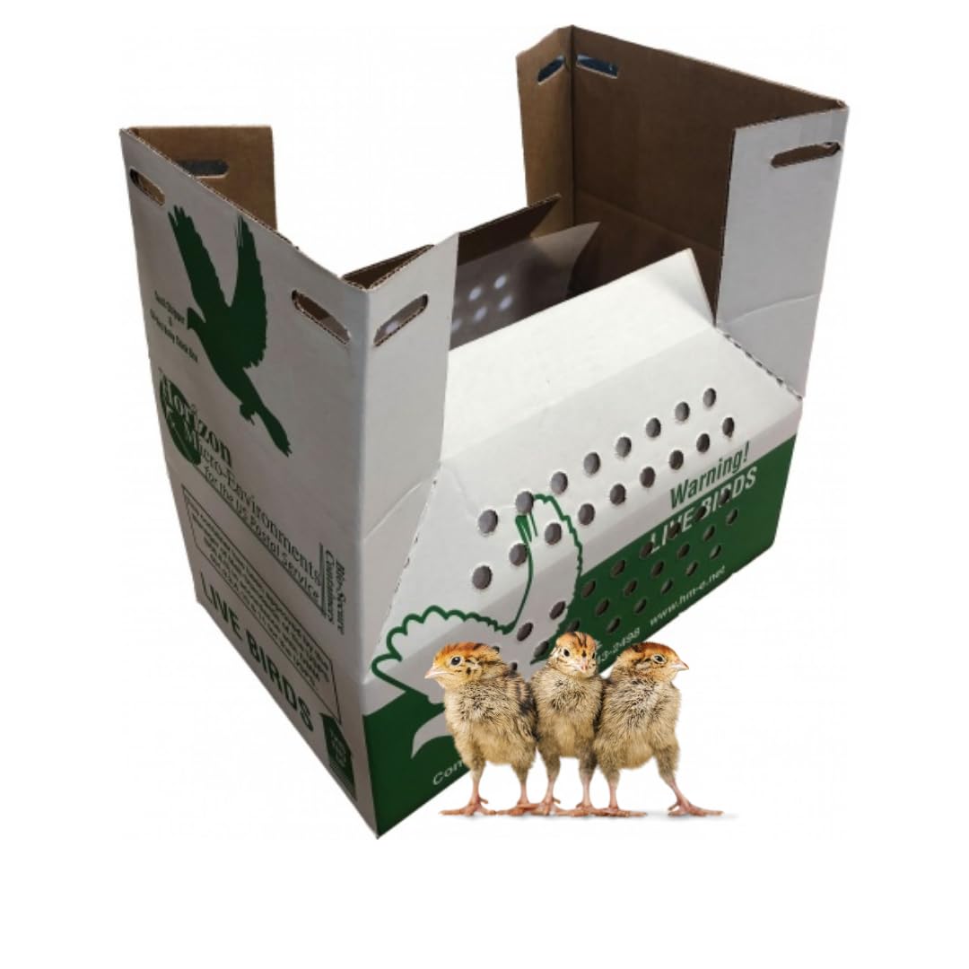 Live Chick Shipping Box (10 pack) - Live Chick Carrier, USPS Approved Chick Shipping Box FREE SHIPPING!